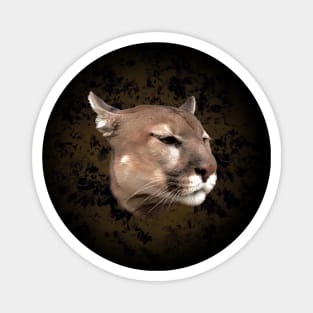 Mountain lion Magnet